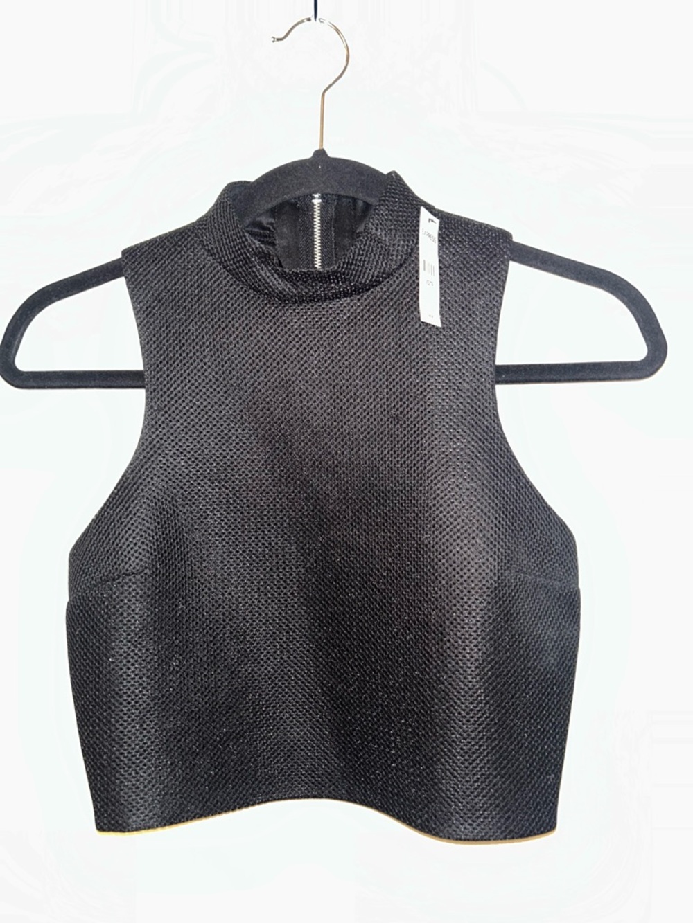Express Black Mesh Sleeveless Mockneck Zip Back Crop Top